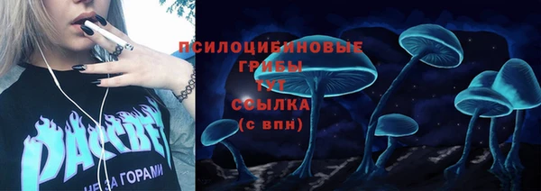 apvp Абдулино
