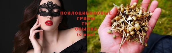 первитин Абинск