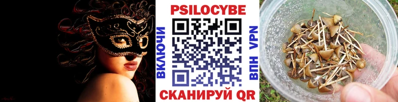 закладки Серпухов Псилоцибиновые грибы Psilocybine cubensis